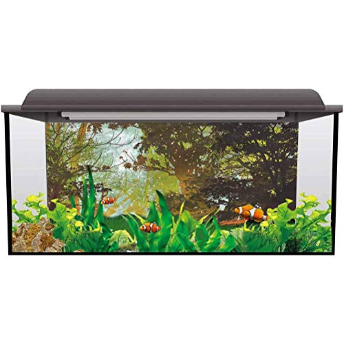 bybyhome Aquarium Poster Fantasy Spring with Fall Leaves PVC Adhesive Decor Pape L24 X H24 Inch