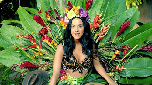 Ultimate mart Katy perry 12 x 18 Inch poster