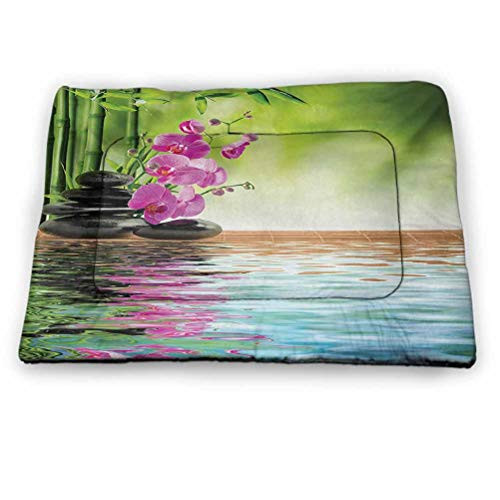 DayDayFun Spa Cat Mat Orchid Flower Stone Oriental Culture Spirituality Wellness Tropical Holiday Machine Washable Pet Bed Liner Fern Green Fuchsia Size 23 inchx15.5 inch