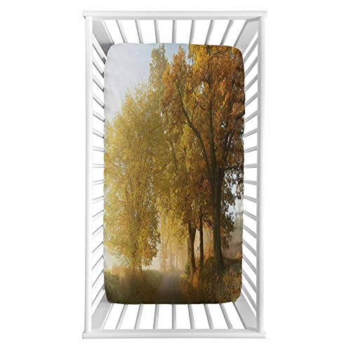 Fall Fitted Crib Sheet Rural Landscape on a Misty Foggy Scenic Morning in Countryside Set Idyllic Theme Microfiber Silky Soft Toddler Mattress Sheet Fitted 28 inchx 52 inchx 8   Baby Sheet for Boys Girls