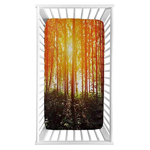 Lyzelre Nature Fitted Crib Sheet Foggy Forest Scenery with Sunrays Reflecting on Trees Mystic Woodland Image Microfiber Silky Soft Toddler Mattress Sheet Fitted 28 inchx 52 inchx 8   for Boys Girls