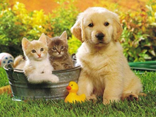 Ultimate mart cute puppy and kittens 12 x 18 Inch poster