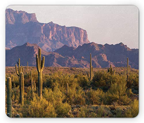 YZBEDSET Saguaro Mouse Pad  Arizona Desert Landscape with Cactus Mountain in Spring Evening Wilderness Picture  Rectangle Non-Slip Rubber Mousepad  Standard Size  Brown Green