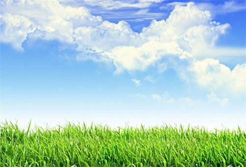 CSFOTO 5x3ft Background for Blue Sky Green Meadow Photography Backdrop Spring Summer Scence Natural Scenery Fresh Air Outdoors White Clouds Holiday Tour Vacation Photo Studio Props Wallpaper