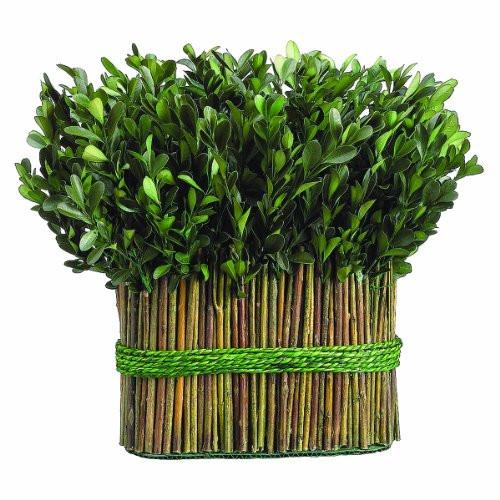 Silk Decor Preserved Boxwood Bundle Topiary, 11.4-Inch. Pack of 2