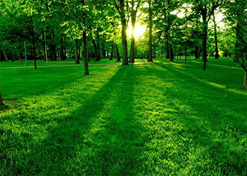 Leowefowa 7X5FT Spring Park Backdrop Jungle Forest Trees Backdrops for Photography Green Grass Meadow Sunrise Vinyl Photo Background Kids Adults Outdoor Party Studio Props Leowefowa 7X5FT Spring Park Backdrop Jungle Forest Trees Backdrops for Photography Green Grass Meadow Sunrise Vinyl Photo Background Kids Adults Outdoor Party Studio Props