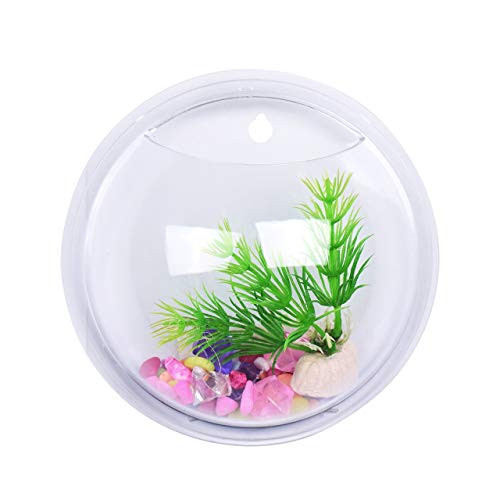 Jinjiang Wall Mounted Clear Glass Terrariums Wall Hanging Planters Glass Planter Terrariums Round Glass Plant Pot Glass Hanging Vases for Plant