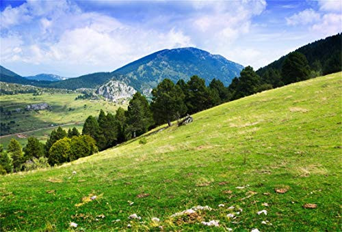 CSFOTO 5x3ft Background for Mountain Landscape Photography Backdrop Green Hill Top View Spring Summer Natural Scenery Countryside Rural Scene Holiday Vacation Photo Studio Props Polyester Wallpaper CSFOTO 5x3ft Background for Mountain Landscape Photography Backdrop Green Hill Top View Spring Summer Natural Scenery Countryside Rural Scene Holiday Vacation Photo Studio Props Polyester Wallpaper