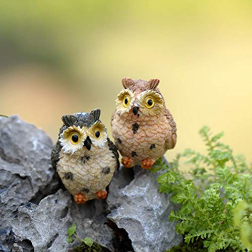 Gilroy 1pc Resin Mini Owls Miniature House Fairy Garden Micro Landscape Home Garden Decoration Plant Pots Bonsai Craft Decor Random Color Gilroy 1pc Resin Mini Owls Miniature House Fairy Garden Micro Landscape Home Garden Decoration Plant Pots Bonsai Craft Decor Random Color