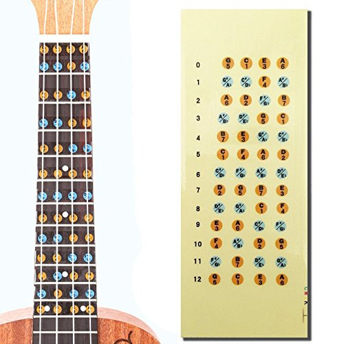 Lexiesxue Ukulele Fretboard Note Map Sticker Fingerboard Frets Decals for Beginner Practice