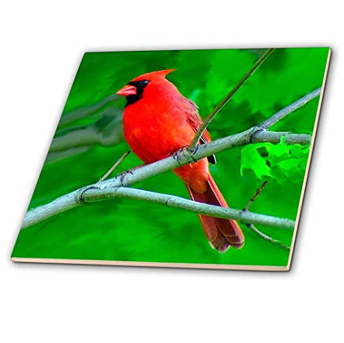 3dRose ct_3121_4 Red Cardinal Ceramic Tile, 12-Inch