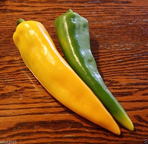 Golden Treasure Pepper seeds -Capsicum annuum- Italian heirloom variety!-30 Seeds- Golden Treasure Pepper seeds -Capsicum annuum- Italian heirloom variety!-30 Seeds-