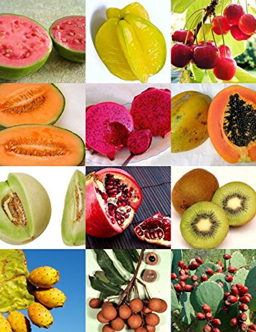 EXOTIC TROPICAL FRUITS MIX sweet edible plant tree fragrant fruit seed 100 seeds