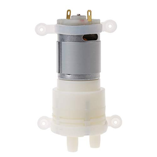 nengzhuzu Priming Diaphragm Mini Pump Spray Motor 12V Micro Pumps for Water Dispenser