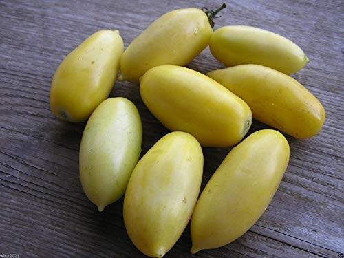 MIYU 30 Seed auage Tomato Seed  Tart  Weet Flavor! Heirloom Variety- Organic !