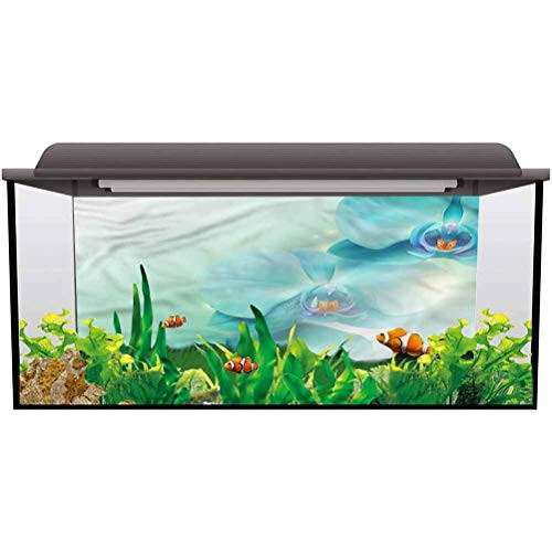 bybyhome Aquarium Backdrop Sticker Flower Orchids and Sun Beams Spring Static Cling L24 X H16 Inch