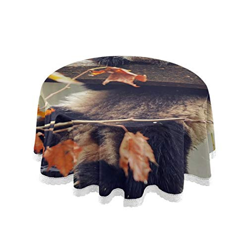 SKYDA Cute Panda Bear Round Tablecloth - 60 Inch - Table Cloth for Table in Washable Polyester - Great for Buffet Table  Parties  Holiday Dinner  Wedding  and  More