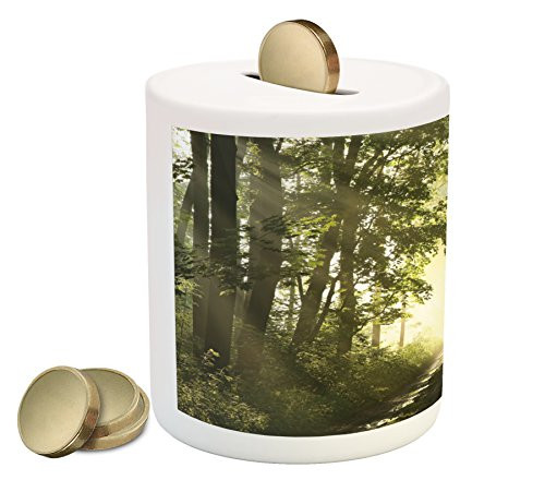Lunarable Woodland Piggy Bank Idyllic Misty View of a Path in Spring Forest Surrounded by Maple Trees Puddles Printed Ceramic Coin Bank Money Box for Cash Saving Multicolor Lunarable Woodland Piggy Bank Idyllic Misty View of a Path in Spring Forest Surrounded by Maple Trees Puddles Printed Ceramic Coin Bank Money Box for Cash Saving Multicolor