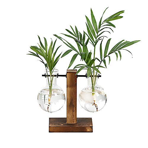 Plant Terrarium Transparent Desktop Glass Planter Bulb Vase with Retro Solid Wooden Stand and Metal Swivel Holder for Hydroponics Plants Home Garden Wedding Decor