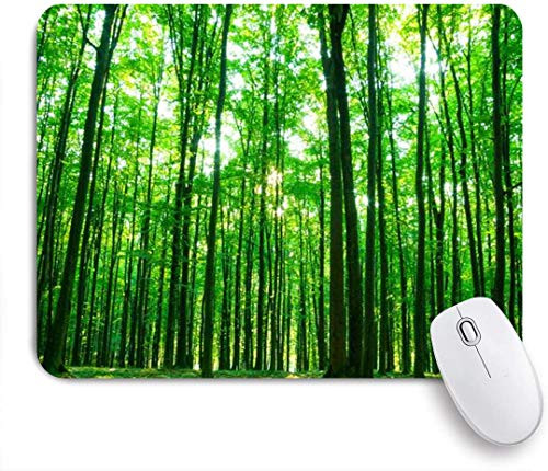 KGSPK Mouse Pad Sunbeam Daylight Sunlight Forest Tree Spring Plant Nature Root Leaf Deciduous Customized Art Mousepad Non-Slip Rubber Base for Computers Laptop Office Desk Accessories