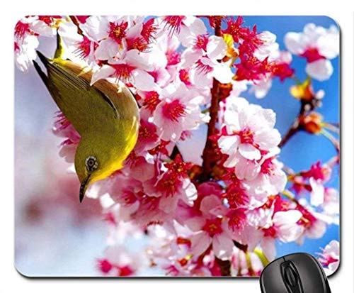 BGLKCS Beautiful Cool Bird Mouse pad Spring Bird Mouse Pad  Mousepad