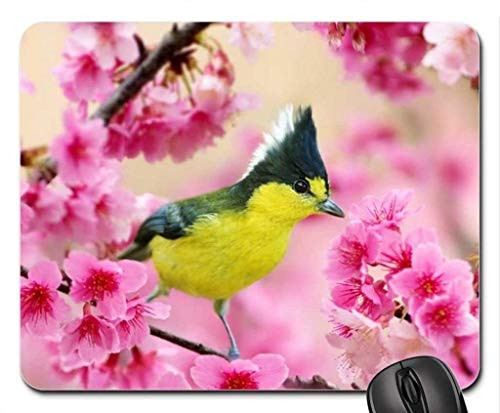 BGLKCS Beautiful Cool Bird Mouse pad Spring Mouse Pad  Mousepad