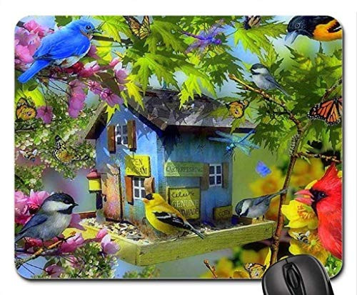 BGLKCS Beautiful Cool Bird Mouse pad Birdhouse of Spring Mouse Pad  Mousepad