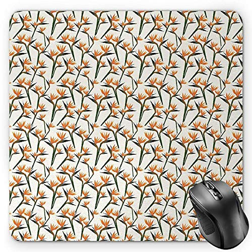 BGLKCS Spring Mouse Pad  Contemporary Style Birds of Paradise Flowers Tropical Garden Blossoms Bedding Plants  Standard Size Rectangle Non-Slip Rubber Mousepad  Multicolor