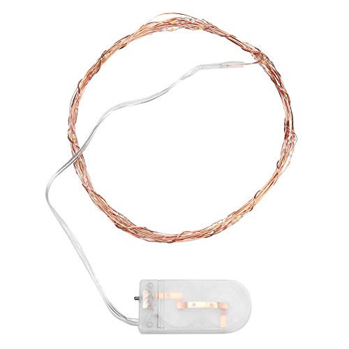 Evonecy LED Light String  Copper Wire String Lights Christmas Light String 5m 50LED Light String  for Home Bedroom Shopping Center Wedding-Warm White-