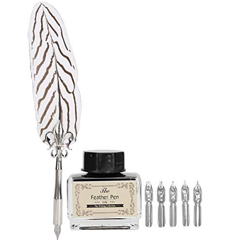 Exquisite Feather Pen Kit  Smooth Writing Calligraphy Pen Retro Feather Dip Pen Strong Touch Feeling for Beginners