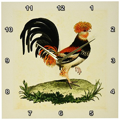 3dRose DPP_62339_2 1770 French Vintage Rooster Print Wall Clock, 13 by 13"