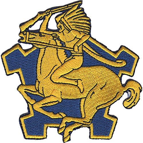 9th Cavalry Regiment Patch