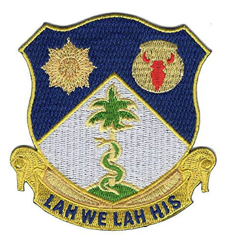 134th Infantry Regiment Patch