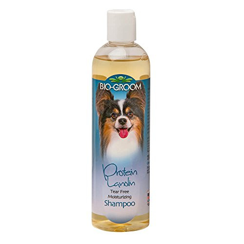 BioGroom Protein Lanolin Shampoo  12 oz