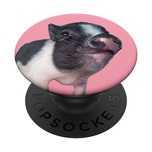 Cute Micro Baby Pig Piglet Adorable Farm Animal Gift PopSockets PopGrip  Swappable Grip for Phones  and  Tablets