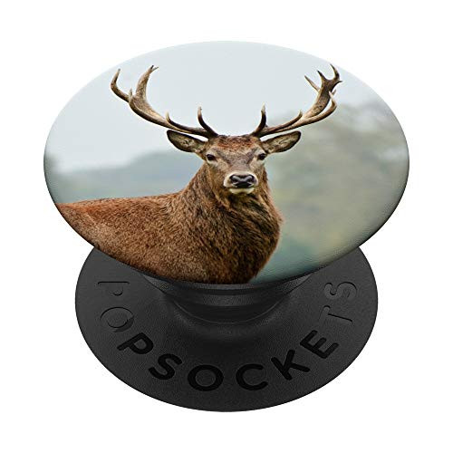 Deer - Buck - Animal PopSockets Grip and Stand for Phones and Tablets