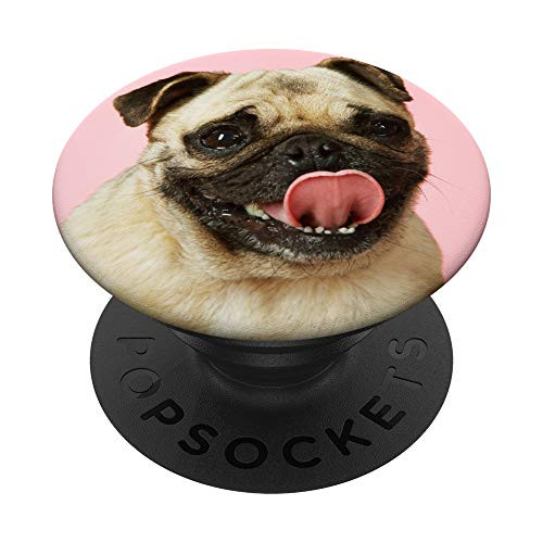Pug Cute Dog Pet Animal Dogs Gift PopSockets PopGrip Swappable Grip for Phones and Tablets Pug Cute Dog Pet Animal Dogs Gift PopSockets PopGrip Swappable Grip for Phones and Tablets