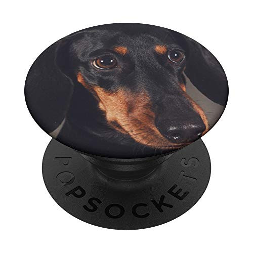 Dachshund PopSockets PopGrip  Swappable Grip for Phones  and  Tablets