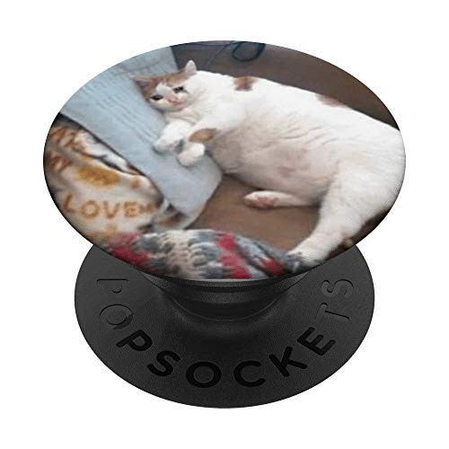 Sad Fat Crying Cat - Funny meme design PopSockets PopGrip  Swappable Grip for Phones  and  Tablets