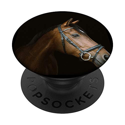 riding pony horse rider animal mare stallion gelding horse PopSockets PopGrip  Swappable Grip for Phones  and  Tablets