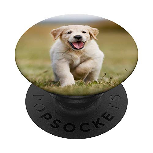 Golden Retriever Puppy PopSockets PopGrip  Swappable Grip for Phones  and  Tablets