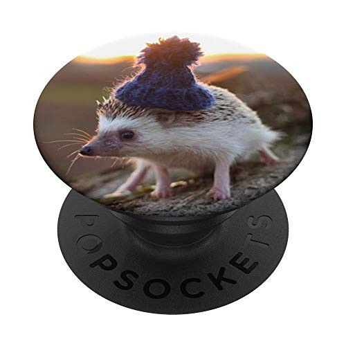 Baby Hedgehog with Hat Cute Forest Animal PopSockets PopGrip  Swappable Grip for Phones  and  Tablets