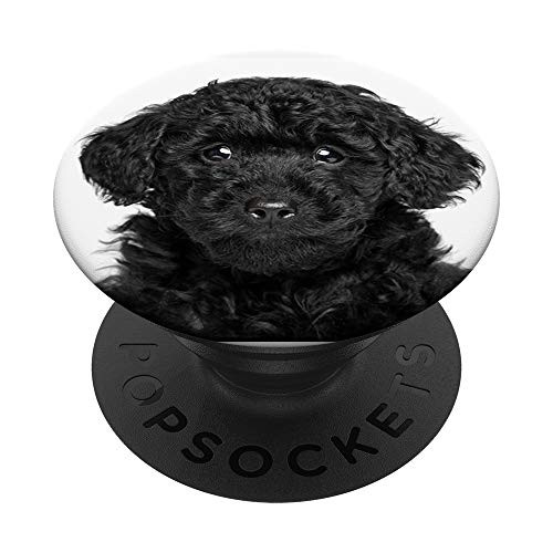 Beautiful Black Poodle Puppy Portrait Poodle Mom Dad Gifts PopSockets PopGrip  Swappable Grip for Phones  and  Tablets