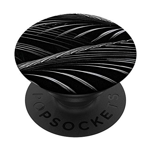Black and White Palm Tree Leaves - Exotic Monochrome PopSockets PopGrip  Swappable Grip for Phones  and  Tablets
