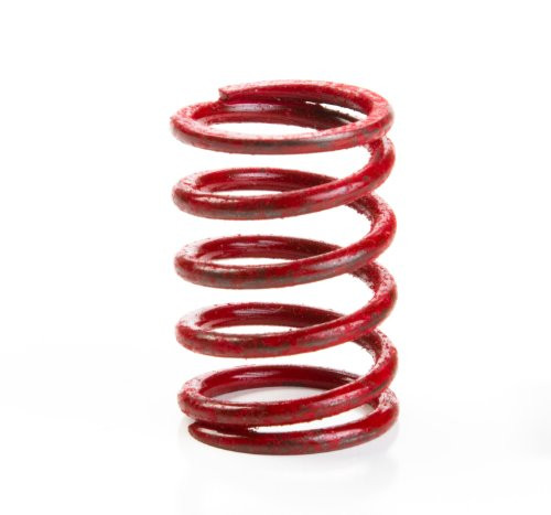 Briggs  and  Stratton 691597 Valve Spring Replaces 26828  691597