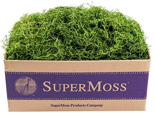 SuperMoss (26927) Spanish Moss Preserved, Grass, 3lbs