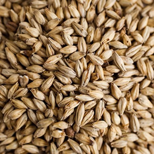 Gambrinus Honey Malt Brewing Malt Whole Grain 1lb Bag