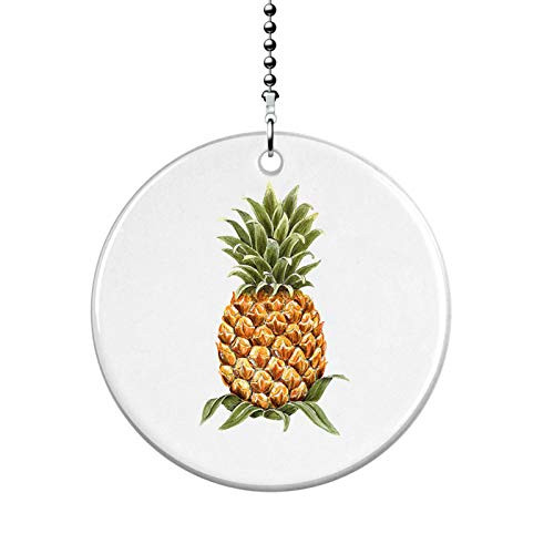 Pretty Pineapple Fan Light Pull