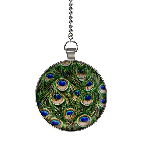 Gotham Decor Peacock Feathers Fan Light Pull Pendant with Chain