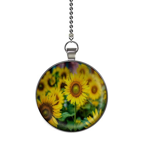 Gotham Decor The Sunflower Patch Fan Light Pull Pendant with Chain